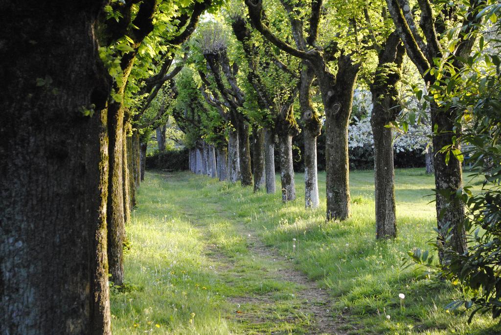 Eco-Gite - Domaine De La Gavolerie Bessé-sur-Braye Exterior foto